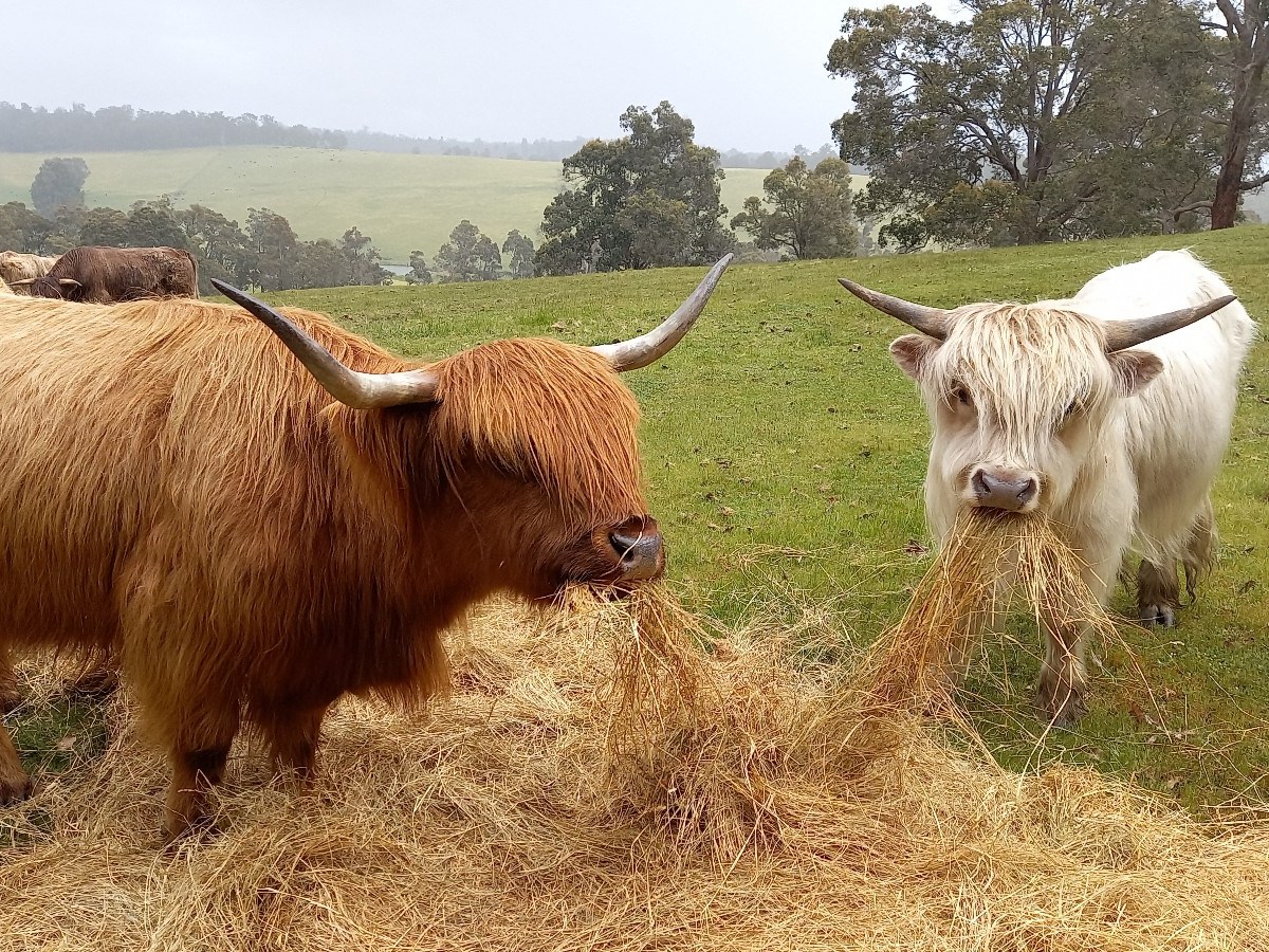 Okt’22 – Woche 3&nbsp;geschafft