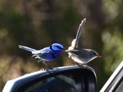 12. Oktober – Erste Woche&nbsp;überlebt