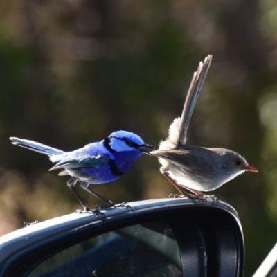 12. Oktober – Erste Woche&nbsp;überlebt